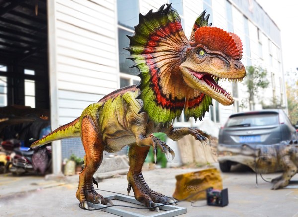 dilophosaurus（CET-SD20）