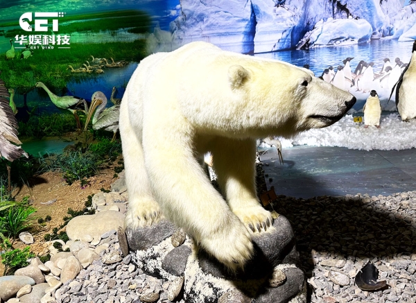 Polar bear（CET-A8）