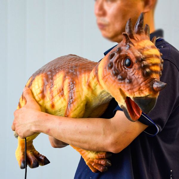 Jurassic Park  Dinosaur hand puppetsPachycephalosaurus（CET-P14）