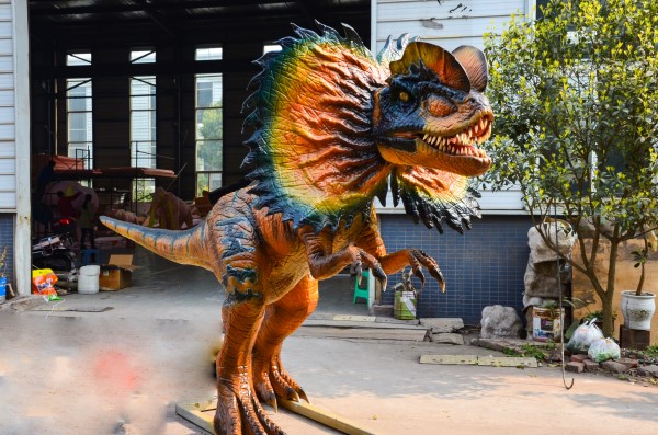 dilophosaurus（CET-SD21）