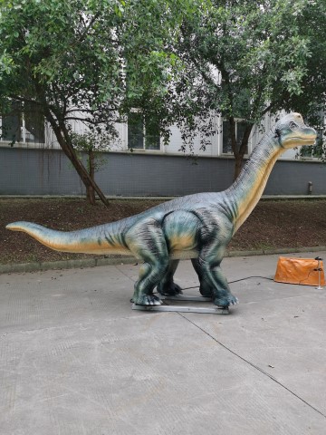 Brachiosaurus（CET-SD15）